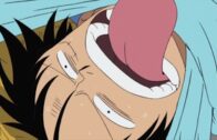 One Piece Episode 1088 Subbed