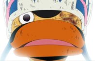 One Piece Episode 1088 Subbed