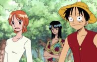 One Piece Episode 1088 Subbed