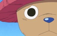 One Piece Episode 1088 Subbed