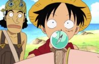 One Piece Episode 1088 Subbed