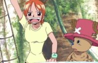 One Piece Episode 1088 Subbed