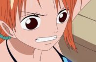 One Piece Episode 1088 Subbed