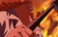 One Piece Episode 1088 Subbed