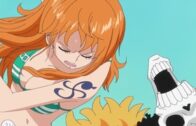 One Piece Episode 1088 Subbed