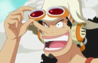 One Piece Episode 1088 Subbed