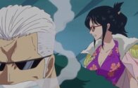 One Piece Episode 1088 Subbed