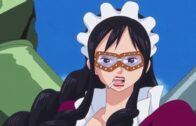 One Piece Episode 1088 Subbed