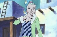 One Piece Episode 1088 Subbed