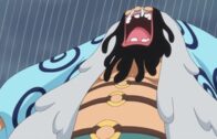 One Piece Episode 1088 Subbed