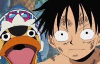 One Piece Episode 1088 Subbed