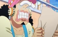 One Piece Episode 1089 Subbed
